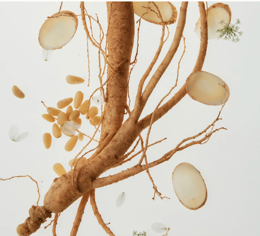 [Beauty Of Joseon] Ginseng Essence Water